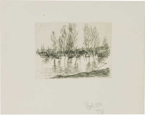 Плещинский Илларион Николаевич. Пруд 